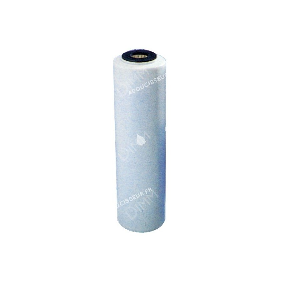 Cartouche standard 10'' GAC