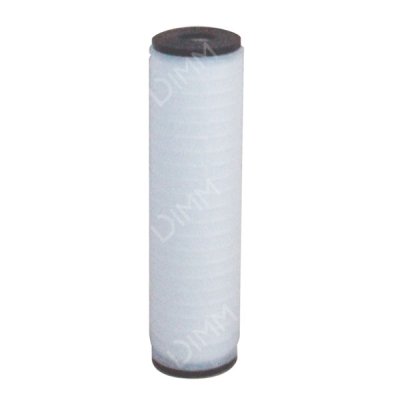 Cartouche Polyray 10'' - 0.45 micron
