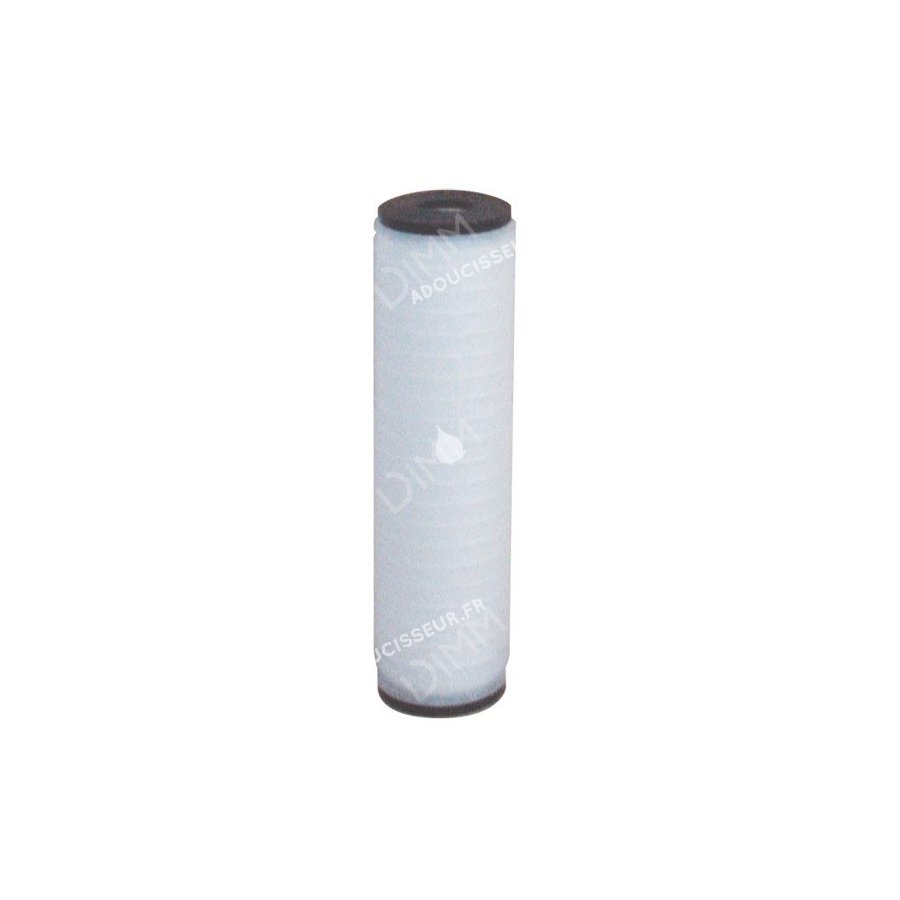 Cartouche Polyray 10'' - 0.45 micron