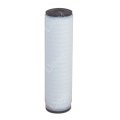 Cartouche Polyray 10'' - 1 micron