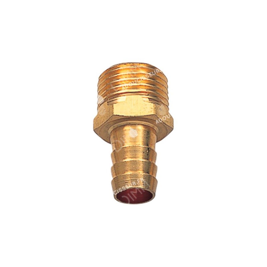 Connecteur d'évacuation en laiton mâle 3/4'' avec barbelure 3/4''