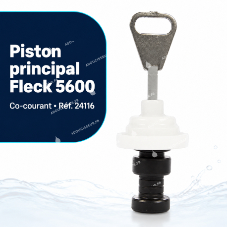 Piston Fleck 24116