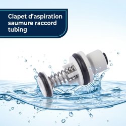 Clapet d'aspiration de saumure