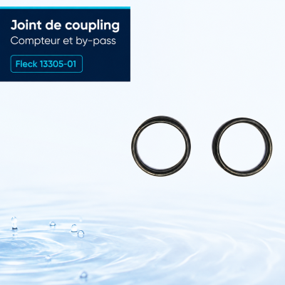 Joint de compteur Fleck