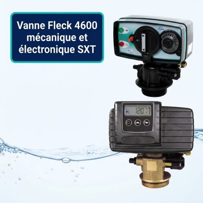 Vanne Fleck 4600 mécanique et électronique SXT