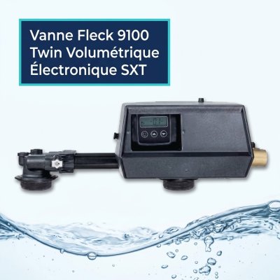 Vanne Fleck 9100 Twin Volumétrique Électronique SXT