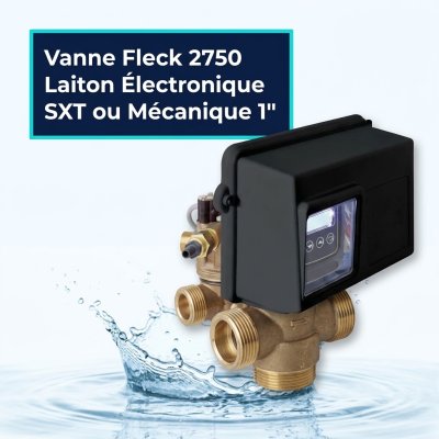 Vanne Fleck 2750 Laiton Électronique SXT ou Mécanique 1