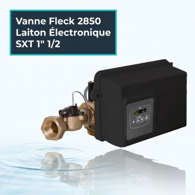 Vanne Fleck 2850 Laiton Électronique SXT ou Mécanique 1" 1/2