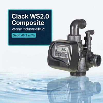 Vanne Clack WS2.0 électronique 2" Composite (Timer CI)