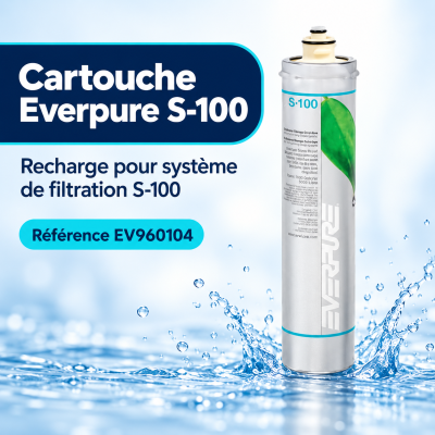 Cartouche de remplacement Pentair Everpure S‑100