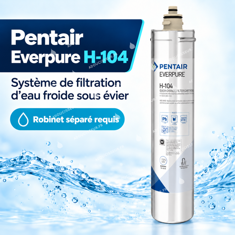 Système de filtration sous évier Pentair Everpure H-104