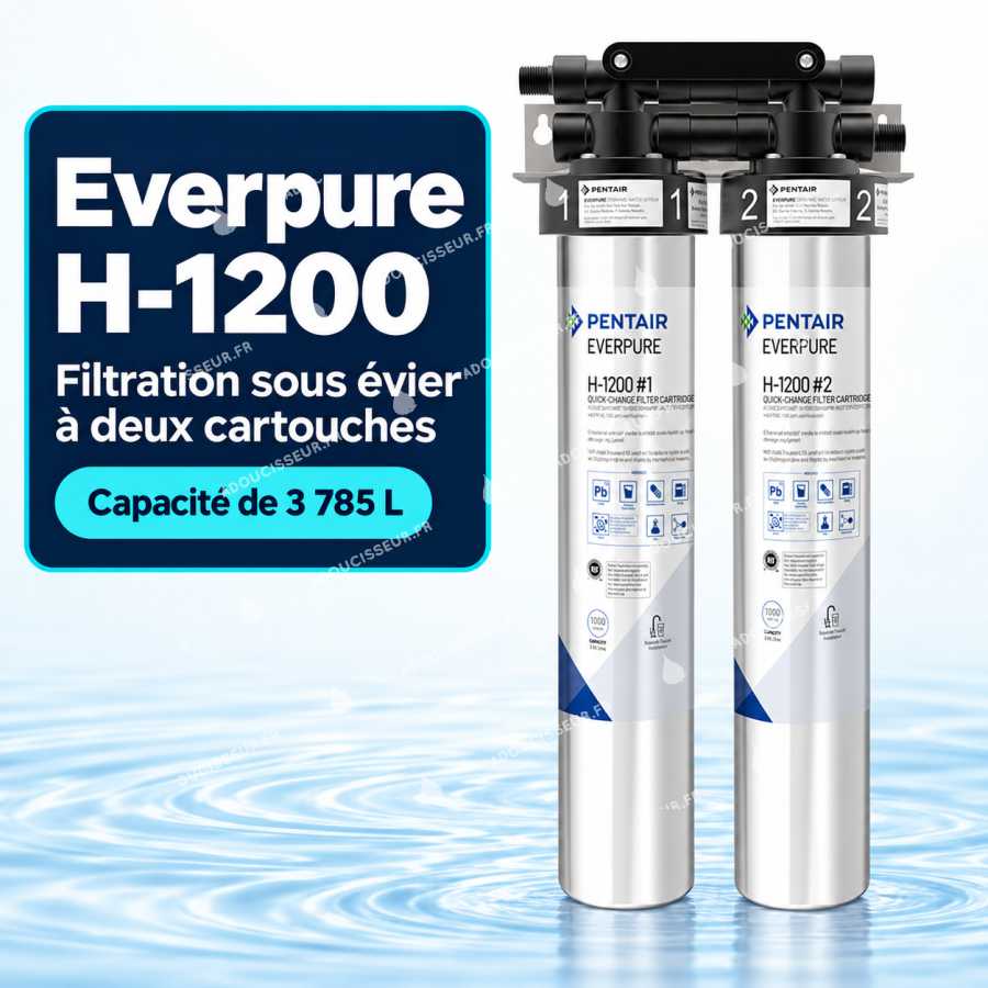 Everpure H-1200 — système de filtration sous évier à deux cartouches